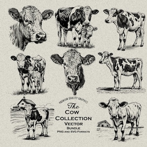 42 koe ontwerpen bundel PNG & SVG voor lasergravure of print, melkkoe, koeienkop, koekalfmoeder, koe op boerderij, babykoe, pack, boerderij