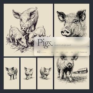 May include: A collection of black and white pig illustrations. The images include a mother pig with piglets, close-up portraits, and full-body depictions. The text "Pigs. a modern design pack" is displayed.