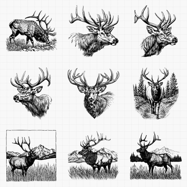May include: A collection of nine black and white illustrations of elk. The images include full body and head shots, some with mountain and forest backgrounds. The elk are depicted with large antlers and detailed fur.