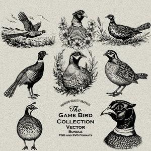 44 Wild Bird Designs Bundle PNG & SVG für Lasergravur oder Print on Demand, Fasan, Wachtel, Auerhahn, Rebhuhn, Vogeljagd, Prärie