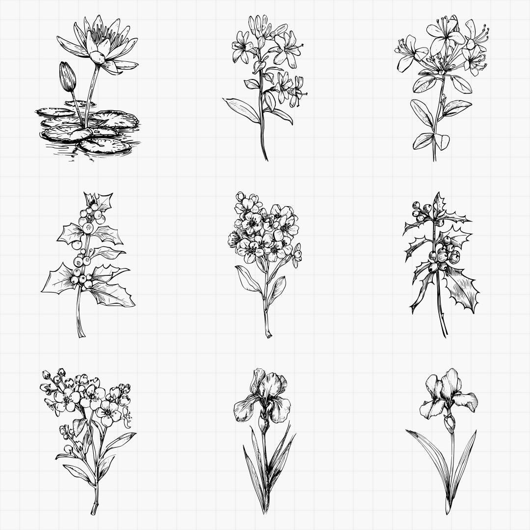 Birth Month Flowers Bundle PNG & SVG for Laser Engraving or Print, Fine ...