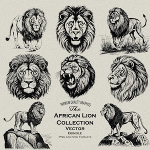 24-Arquivos PNG e SVG de alto detalhe do pacote de leão africano - ótimo para gravação a laser ou impressão sob demanda! Leão em Savannah, Lion Roar, cabeça de leão