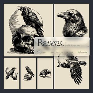 May include: A collection of black and white raven illustrations. The designs include ravens perched on skulls, in flight, and with a moon background. The text reads "Ravens, a gothic design pack" with 40 designs.