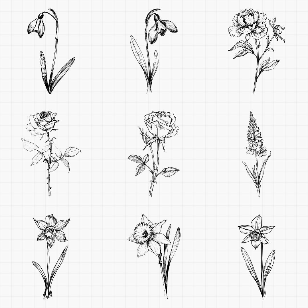Birth Month Flowers Bundle PNG & SVG for Laser Engraving or Print, Fine ...