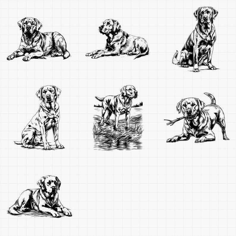 Labrador Retriever Dog Designs Bundle SVG & PNG for Laser Engraving or ...