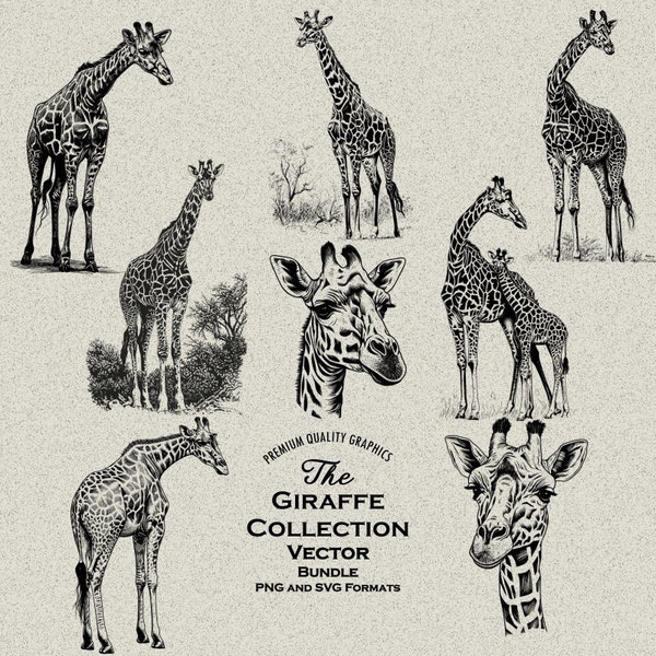 43 Giraffe Design Bundle PNG & SVG For Laser Engraving or Print. Baby Giraffe, Black and White Safari Giraffe, Mother and Baby, Giraffe Head