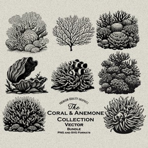 40 Pacote de corais, anêmonas e moluscos SVG-PNG Detalhes de designs: recife, vida marinha, peixe-palhaço na anêmona hospedeira, leque do mar, tanque de recife, decoração de aquário