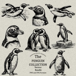Paquete de 33 diseños de pingüinos PNG y SVG digital para grabado o impresión láser, Antártida, Polo Norte, Cabeza de pingüino, Pingüino nadando, Polar