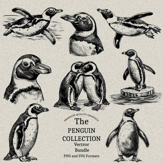 33 Penguin Designs Bundle PNG & SVG Digital for Laser Engraving or