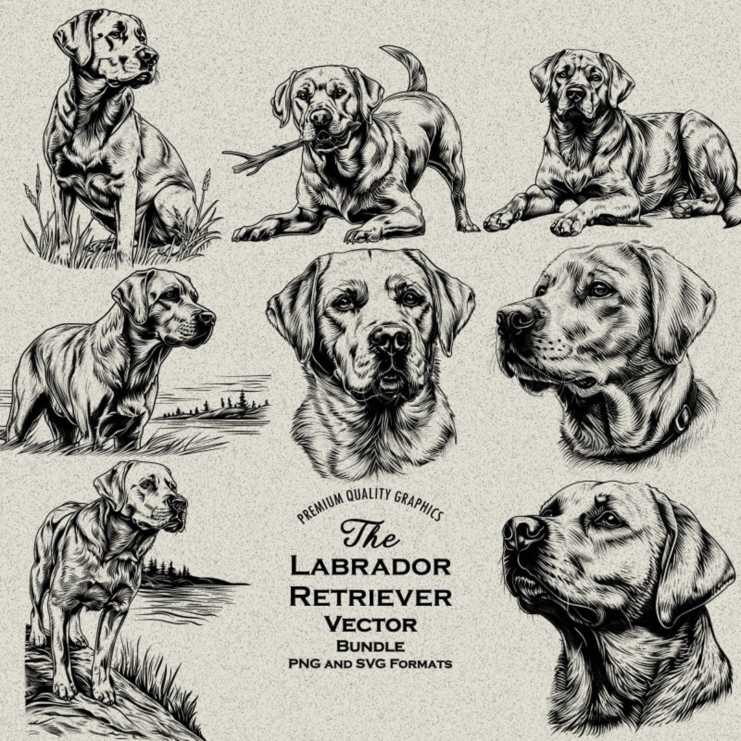 34 Labrador Retriever Dog Designs Bundle SVG & PNG for Laser Engraving or Print, Labs, Black Lab ...