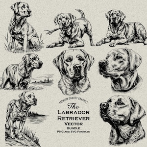 34 Labrador Retriever Dog Designs Bundel SVG & PNG voor lasergravure of print, Labs, Black Lab, Chocolate Lab, Yellow Lab, Tekening