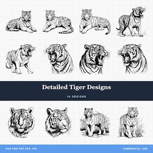 Tiger Bundle Detailed PNG and SVG files - Great for Laser Engraving or Print-on-Demand! Tiger Roar, Tiger head, Bengal Tiger, Siberian