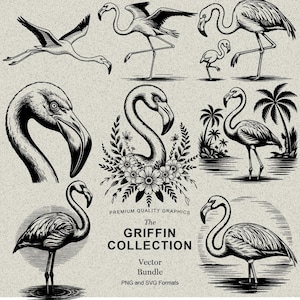 44 Flamingo Designs SVG & PNG Bundle Laser Engraving or Print. Tropical, Summer, Bird SVG