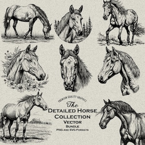 Bundle de 43 dessins détaillés de chevaux PNG & SVG pour gravure ou impression laser, tête de cheval, animal de la ferme, nature, fleurs de cheval, western, indigène