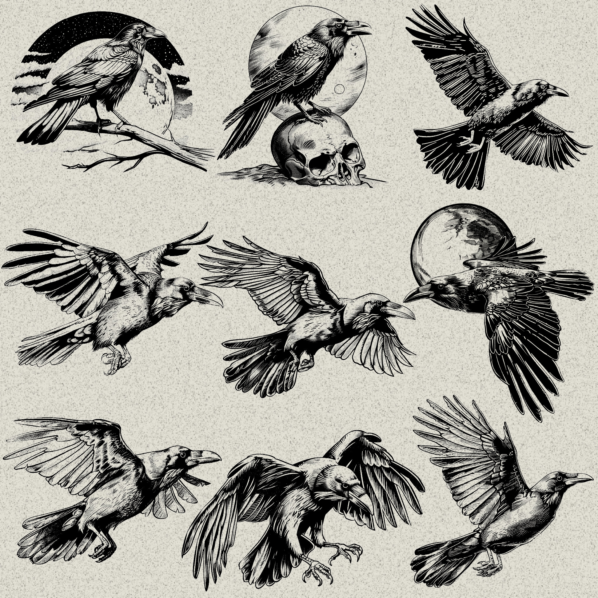 40 Raven and Crow Designs Bundle PNG & SVG Digital for Laser Engraving