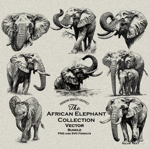 44 Elefanten Designs Bundle PNG & SVG für Lasergravur oder Druck. Afrikanischer Elefant, Elefantenkopf, Elefantenkalb, Elefantenmutter, Badend