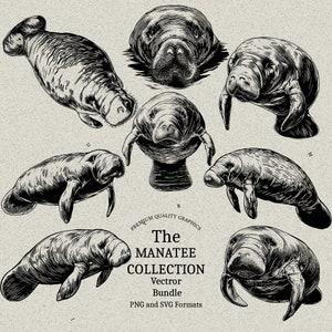 25 Manatee Designs Bundle PNG & SVG Digital für Lasergravur oder Druck, Florida Manatee, Seekuh, Westindische Seekuh, Dugongs, Sirenian