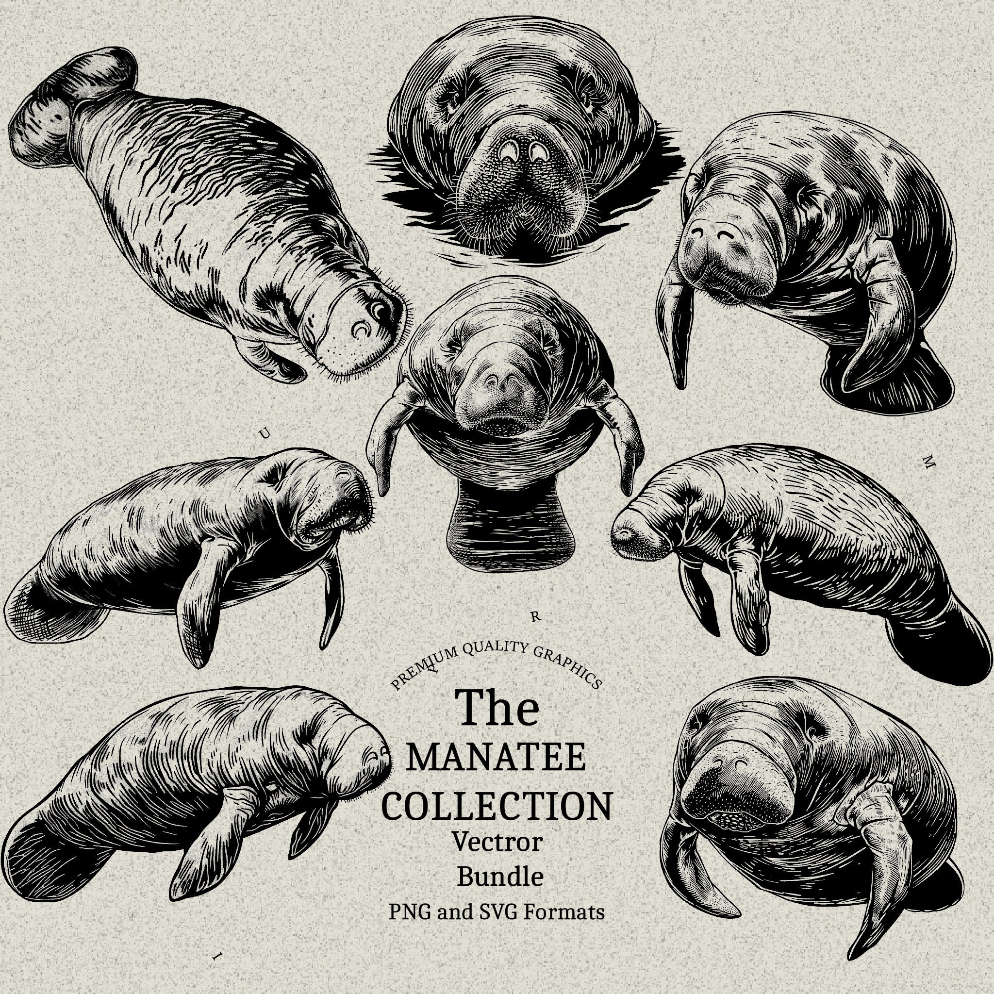 25 Manatee Designs Bundle PNG & SVG Digital for Laser Engraving or