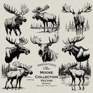 25 Moose Design Bundle PNG- und SVG-Formate Gut für die Lasergravur und den Druck Elch laufend, Elchkopf, Elch laufend, Elch im Wald