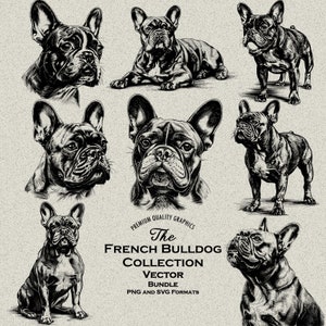 36 Franse Bulldog ontwerpen bundel SVG & PNG voor lasergravure of print: Frenchie, hondenmoeder, hondenouder, pup, hondenhoofd, hond leggen, hondenspel