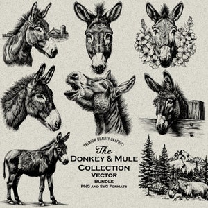28 ezels en muilezels bundel SVG en PNG voor lasergravure of print, boerderij, pakdier, balkende ezel, bergen, boerderij, landelijk, Jackass