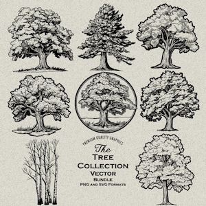 81 disegni di pacchetti di alberi SVG e PNG per incisione laser, stampa su richiesta, quercia, pino, natura, acero, betulla, pioppo