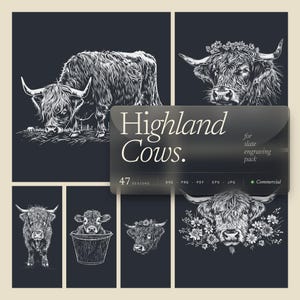 May include: A collection of black and white illustrations of Highland cows. The images include full body and head shots, some with floral accents. The text "Highland Cows" is displayed with additional text for slate engraving.