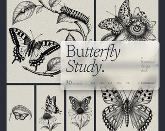 Paquete de 30 especies de mariposas SVG, estudios botánicos de la mariposa monarca y la mariposa cola de golondrina para láser