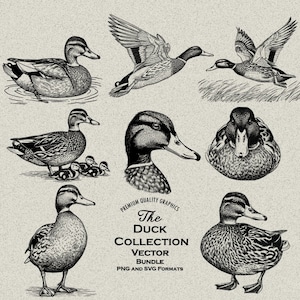 62 Duck Designs Bundle PNG & SVG Digital voor lasergravure of print, jacht, wilde eend, eendje zwemmende eend, nestelende eend, vliegende eend