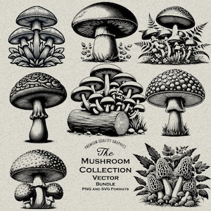 50 paddestoelen bundel PNG & SVG voor lasergravure of print, Morel, Cantharel, oester, wijndop, fijne lijn stencil, natuurlijk, natuur, bos