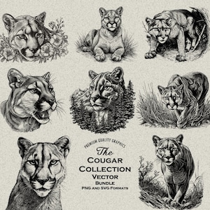 38 Pacote de designs detalhados de puma, puma, leão da montanha PNG e SVG para gravação ou impressão a laser, cabeça, natureza, ocidental, nativo, arquivo catamount