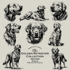 Paquete de 40 diseños de perros Golden Retriever SVG y PNG para grabado o impresión láser, Retriever amarillo, dorado, dibujo de perro, boceto de perro, perro pájaro