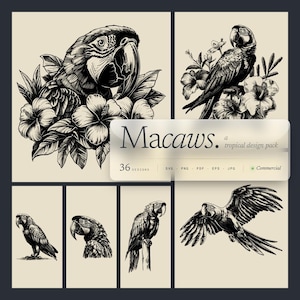 May include: A collection of black and white macaw illustrations with tropical flowers. The designs include detailed drawings of macaws in various poses, including perched and in flight. The text on the image reads "Macaws. a tropical design pack" with file type options.