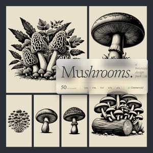 May include: A botanical design pack featuring various black and white mushroom illustrations. The images include detailed drawings of different mushroom species, with the word "Mushrooms" in the center.