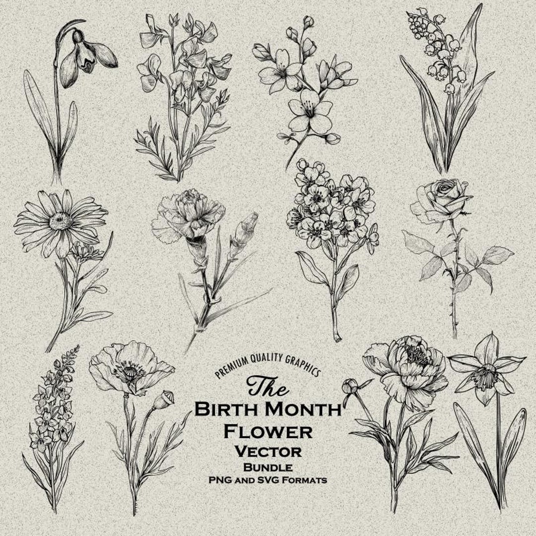 Birth Month Flowers Bundle PNG & SVG for Laser Engraving or Print, Fine ...