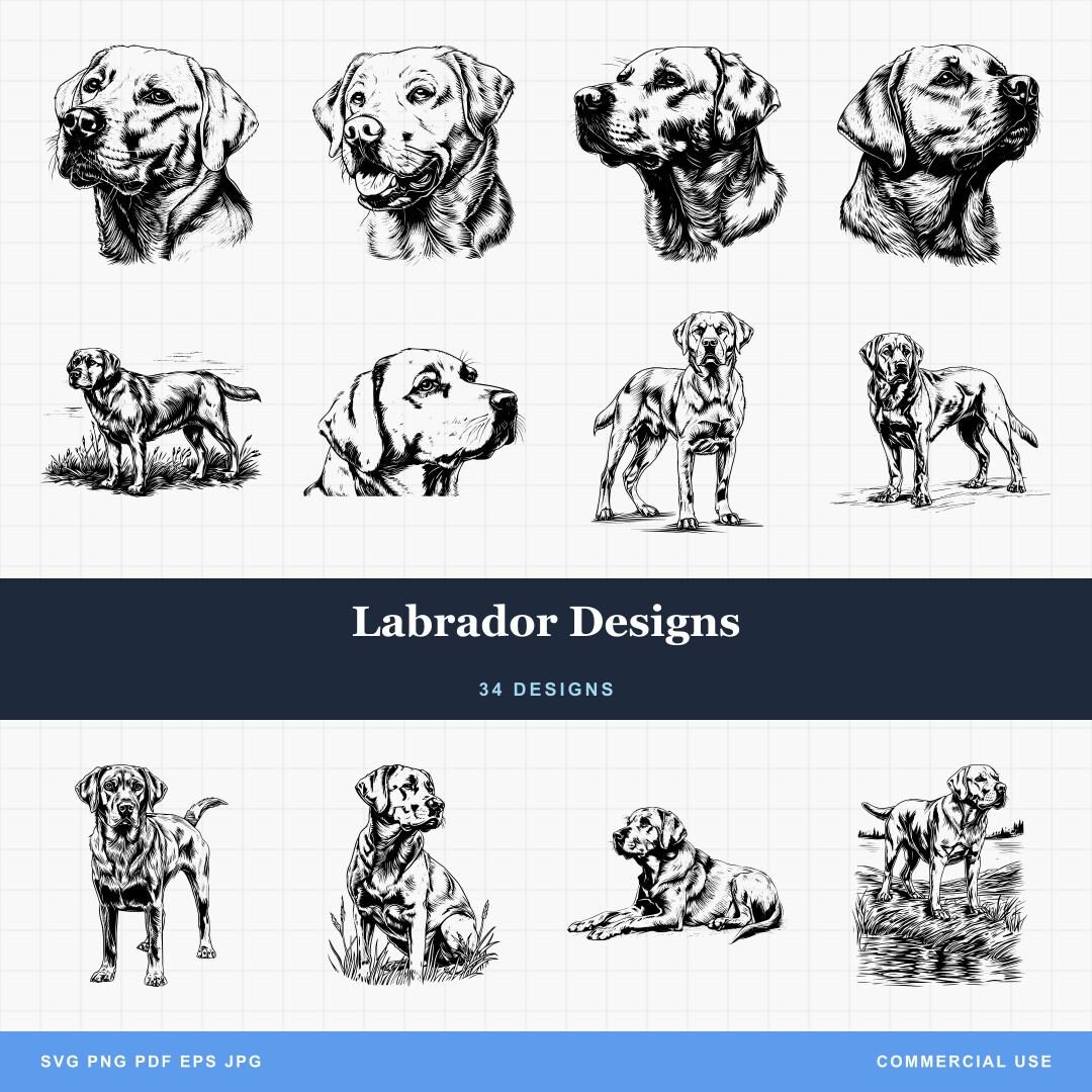 Labrador Retriever Dog Designs Bundle SVG & PNG for Laser Engraving or ...