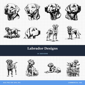 Labrador Retriever Dog Designs Bundle SVG & PNG  for Laser Engraving or Print, Labs, Black Lab, Chocolate Lab, Yellow Lab, Drawing