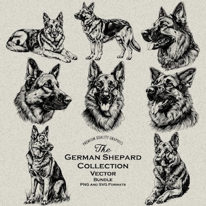 34 Duitse herdershond ontwerpen bundel SVG & PNG voor lasergravure of print, Elzassers, Wolf Dog Elzassers, politiehond, tekening, schets
