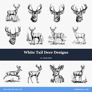 White Tail Deer Design Bundle SVG-PNG Detail Designs for Laser Engraving and Print-on-Demand Buck, Doe, Deer Head, Rack, Fawn, Buck Rack