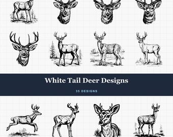 Paquete de diseños de ciervo de cola blanca SVG-PNG con detalles para grabado láser e impresión a pedido: ciervo macho, cierva, cabeza de ciervo, cornamenta, cervatillo, cornamenta de ciervo macho