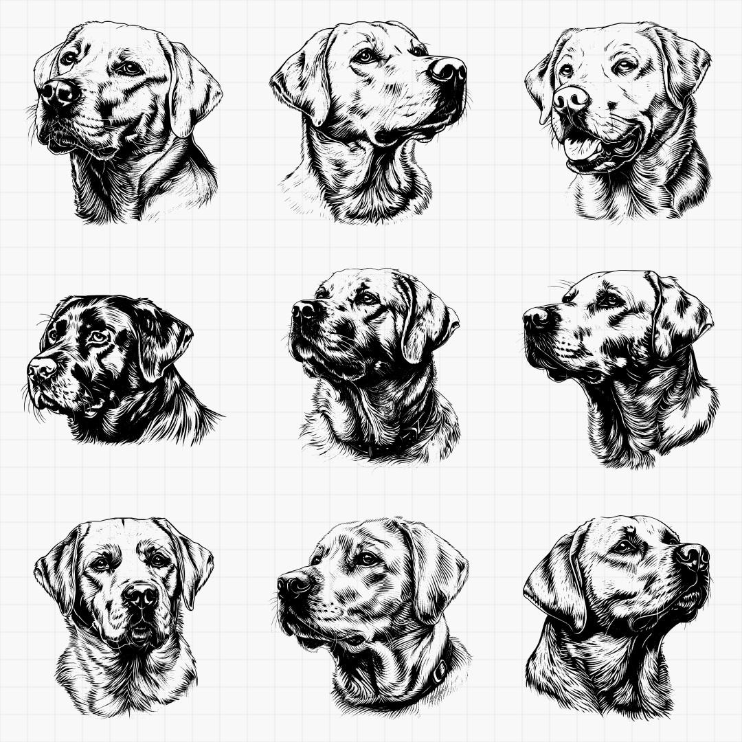 Labrador Retriever Dog Designs Bundle SVG & PNG for Laser Engraving or ...