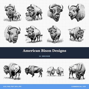 Paquete de diseños de bisonte americano en formato PNG y SVG digital para grabado láser o impresión: búfalo, ternero, pelea de bisontes, escena del oeste, salvaje oeste