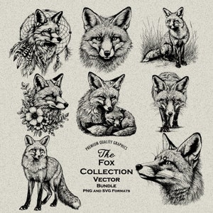 47 Fox Designs Bundle PNG & SVG Digital para grabado o impresión láser, flores de zorro, cabeza de zorro, nativo, vida silvestre, bebé cachorro de zorro, arte de línea animal
