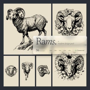 Op de afbeelding: Een verzameling zwart-wit illustraties van rammen. De afbeeldingen tonen een volledige ram, ramkoppen en een ramkop met bloemelementen. De tekst "Rams. a modern design pack" is ook aanwezig.