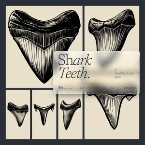 Puede incluir: Una colección de ilustraciones en blanco y negro de dientes de tiburón. La imagen incluye varias vistas de los dientes, con una superposición transparente que dice "Shark Teeth" y "a modern design pack". El fondo es de color beige claro.
