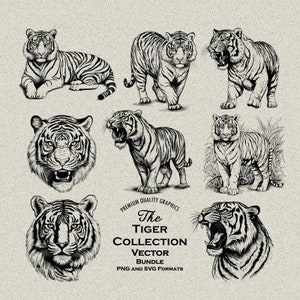 34 Tiger Bundle Detaillierte PNG und SVG Dateien - Ideal für Lasergravur oder Print-on-Demand! Tigergebrüll, Tigerkopf, Bengal Tiger, Sibirischer Tiger