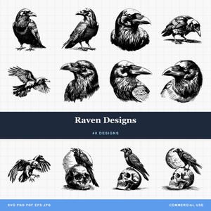 Paquete de diseños de cuervo y cuervo PNG y SVG digitales para grabado o impresión láser: cráneo de cuervo, luna de cuervo, cuervo volador, mirlo, carroña