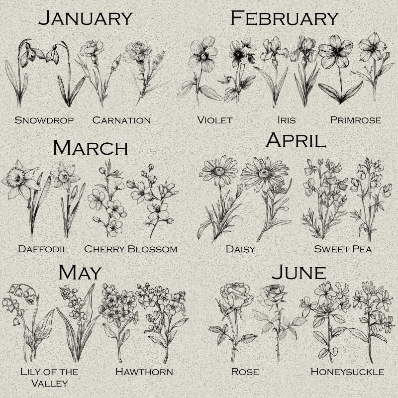 Birth Month Flowers Bundle PNG & SVG for Laser Engraving or Print, Fine ...