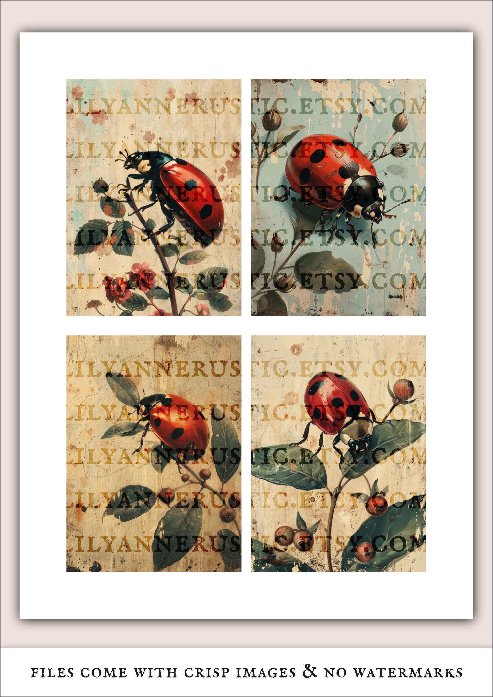 Ladybug Junk Journal Kit: Vintage Ephemera Collage Sheets – Digital ...