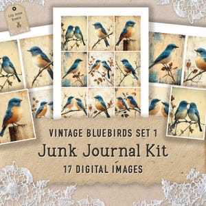 Bluebird ongewenste dagboek Kit afdrukbare ephemera scrapbooking papier roze blauw vintage vogel digitale download vogel Ephemera lente dagboek Digikit